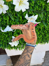 Cargar imagen en el visor de la galería, Serpiente del maíz - scaleless macho