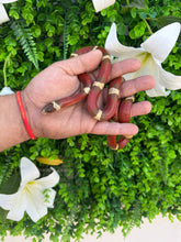 Cargar imagen en el visor de la galería, Lampropeltis nelson T+ macho