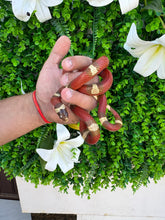 Cargar imagen en el visor de la galería, Lampropeltis nelson T+ macho
