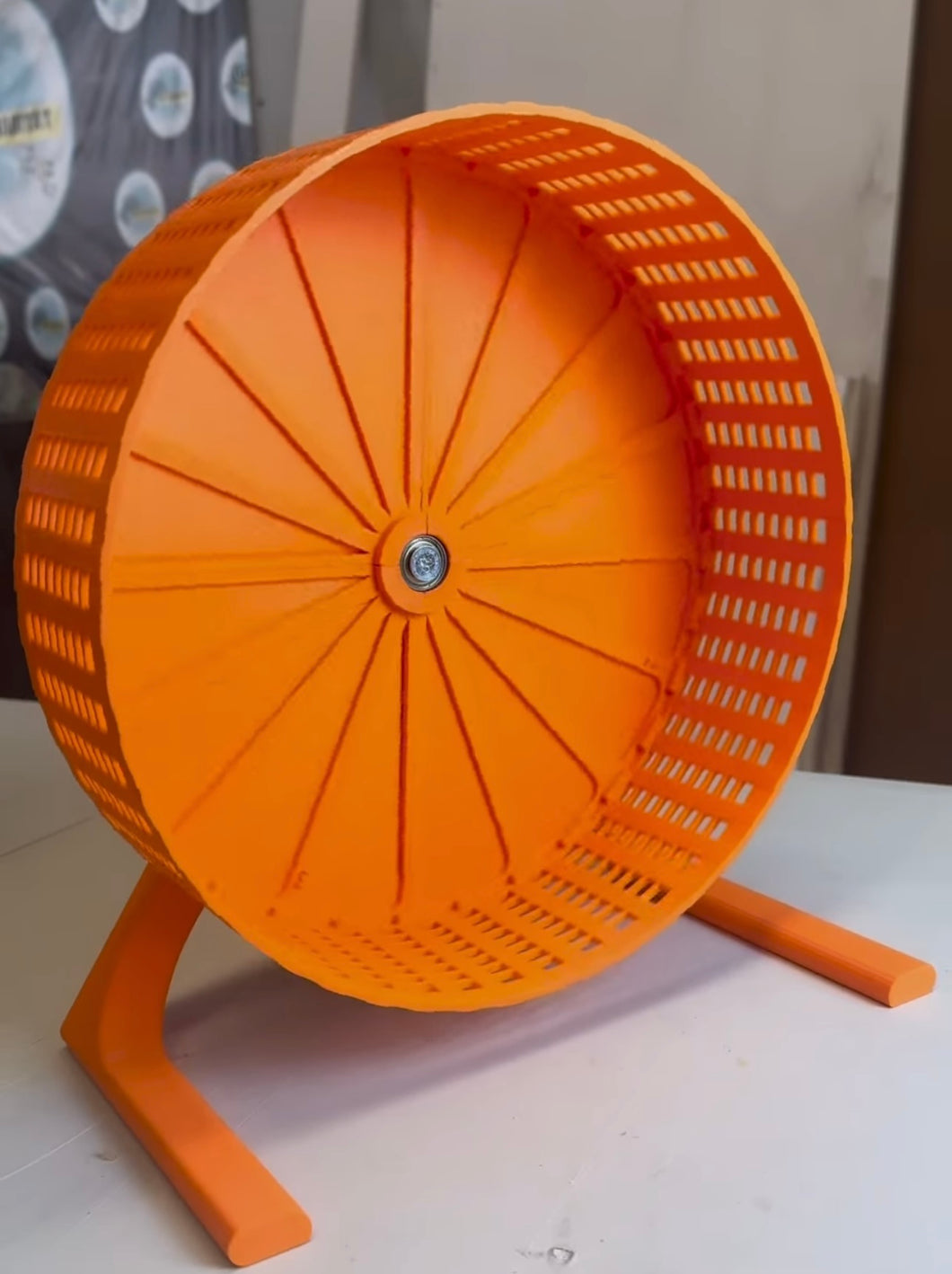 RUEDA PARA PETAUROS Y ROEDORES